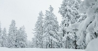La Rosi&egrave;re lundi 29 novembre 2021