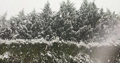 Grand Tourmalet (Bar&egrave;ges - La Mongie) samedi 27 novembre 2021