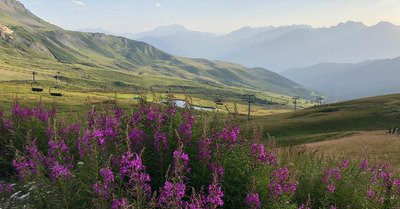 Saint Fran&ccedil;ois Longchamp lundi 23 ao&ucirc;t 2021