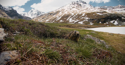 Val d'Isère vendredi 18 juin 2021