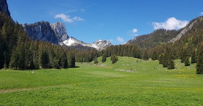 Torgon jeudi 10 juin 2021