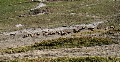 Val d'Is&egrave;re jeudi 6 mai 2021