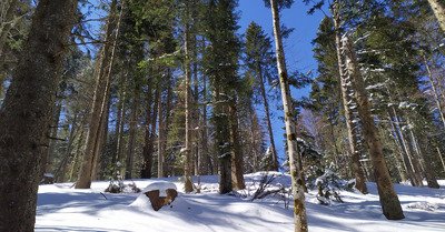 la f&eacute;claz dimanche 21 mars 2021