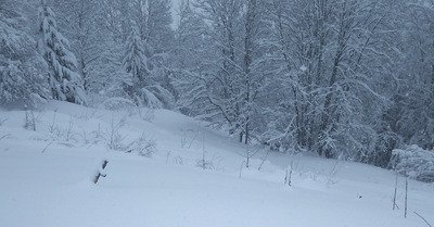 Praz-sur-Arly lundi 15 mars 2021