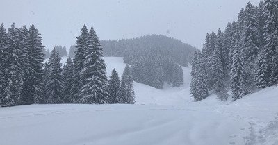 Morgins lundi 15 mars 2021