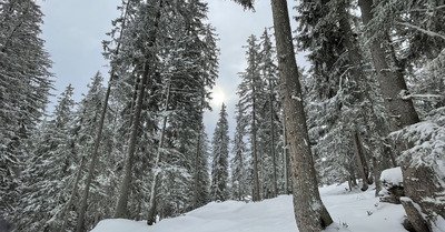 Courchevel dimanche 14 mars 2021