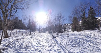 le petit som jeudi 25 f&eacute;vrier 2021