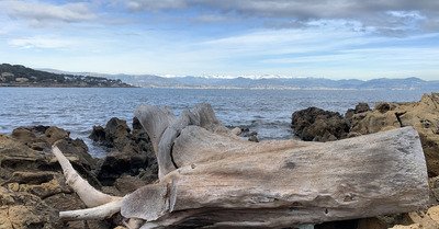 Antibes mardi 16 f&eacute;vrier 2021