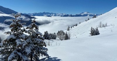 Saint Fran&ccedil;ois Longchamp lundi 15 f&eacute;vrier 2021