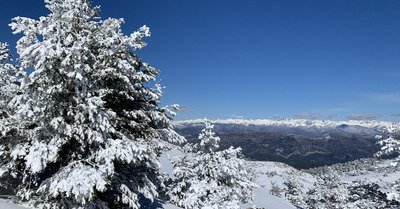 Gr&eacute;oli&egrave;res dimanche 14 f&eacute;vrier 2021