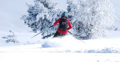 Gr&eacute;oli&egrave;res dimanche 14 f&eacute;vrier 2021