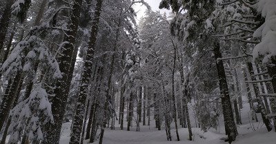 Le D&eacute;sert d'Entremont jeudi 11 f&eacute;vrier 2021