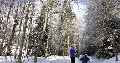 Le Grand-Bornand jeudi 11 f&eacute;vrier 2021