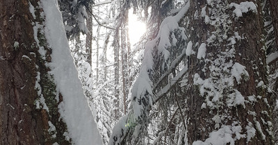 champex lundi 25 janvier 2021