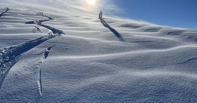 Samo&euml;ns samedi 23 janvier 2021
