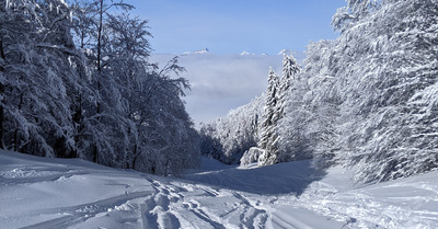 Alpe du Grand Serre samedi 16 janvier 2021