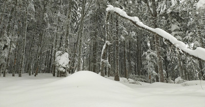 Le Désert d'Entremont vendredi 15 janvier 2021