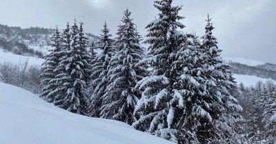 Saint Fran&ccedil;ois Longchamp vendredi 15 janvier 2021
