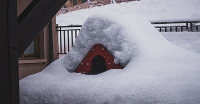 Les Gets vendredi 15 janvier 2021