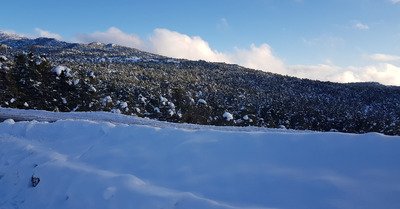 Gr&eacute;oli&egrave;res mardi 12 janvier 2021