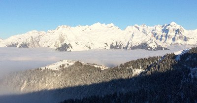 Samo&euml;ns dimanche 10 janvier 2021