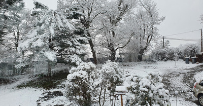 gelos dimanche 10 janvier 2021