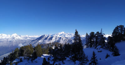 La Sambuy jeudi 7 janvier 2021