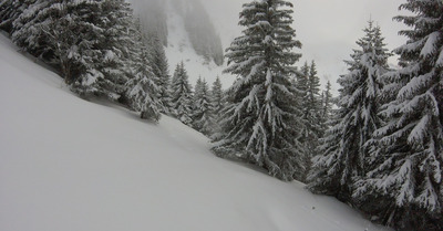 Roc d'Enfer - Saint-Jean d'Aulps vendredi 1 janvier 2021