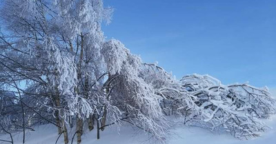 Porté-Puymorens vendredi 1 janvier 2021