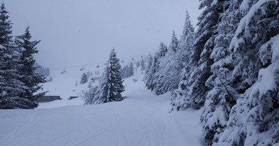 Le Collet d'Allevard jeudi 31 d&eacute;cembre 2020