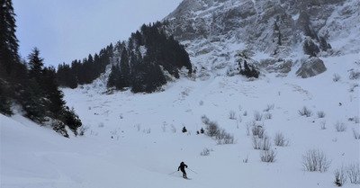 410491 lundi 28 d&eacute;cembre 2020