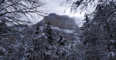 Le granier mardi 8 d&eacute;cembre 2020