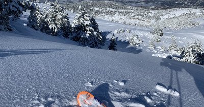 gr&eacute;oli&egrave;res les neiges dimanche 6 d&eacute;cembre 2020