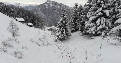 le petit bo samedi 5 d&eacute;cembre 2020