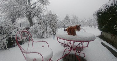 Le Sappey en Chartreuse vendredi 4 d&eacute;cembre 2020