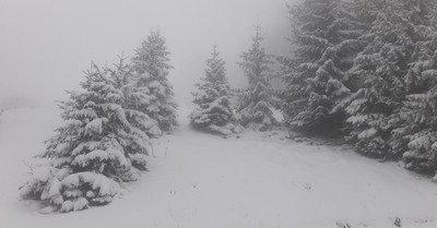 Les Brasses mercredi 2 d&eacute;cembre 2020