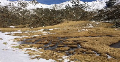 N&eacute;vache lundi 19 octobre 2020