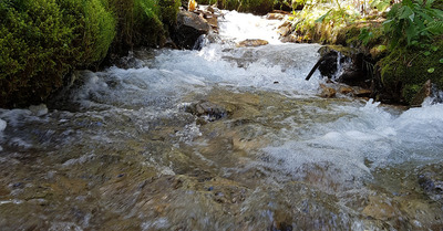 champex vendredi 11 septembre 2020