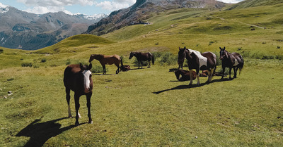 Val d'Isère jeudi 10 septembre 2020