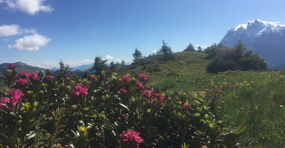 Champéry lundi 15 juin 2020