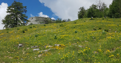 Ovronnaz mercredi 3 juin 2020