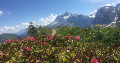 Champéry lundi 1 juin 2020