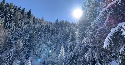 Val d'Allos samedi 7 mars 2020