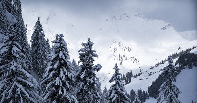 Ch&acirc;tel vendredi 6 mars 2020