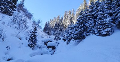 Ar&ecirc;ches Beaufort jeudi 20 f&eacute;vrier 2020