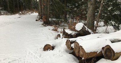 Col de Porte mercredi 19 f&eacute;vrier 2020