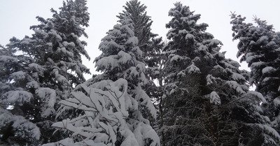 Praz de Lys-Sommand mercredi 19 f&eacute;vrier 2020