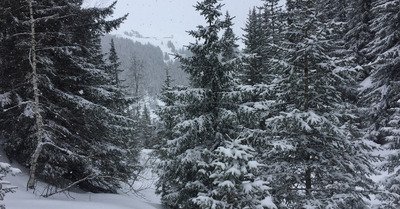 Courchevel mardi 11 f&eacute;vrier 2020