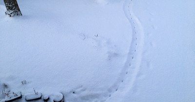 Le Sappey en Chartreuse mercredi 5 f&eacute;vrier 2020