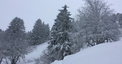 Courchevel mercredi 29 janvier 2020